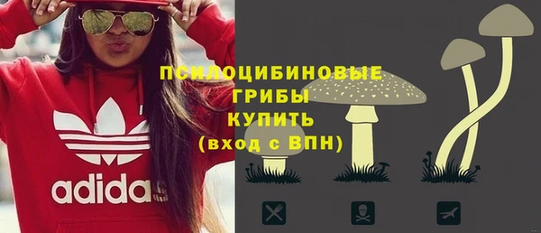 прущие грибы Покровск