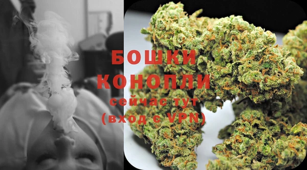 ПСИЛОЦИБИНОВЫЕ ГРИБЫ Верхнеуральск