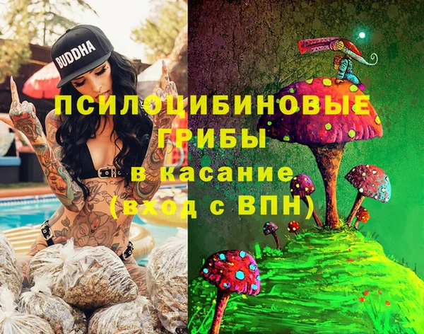 синтетический гашиш Верхний Тагил