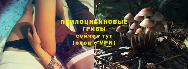 ПСИЛОЦИБИНОВЫЕ ГРИБЫ Верхнеуральск